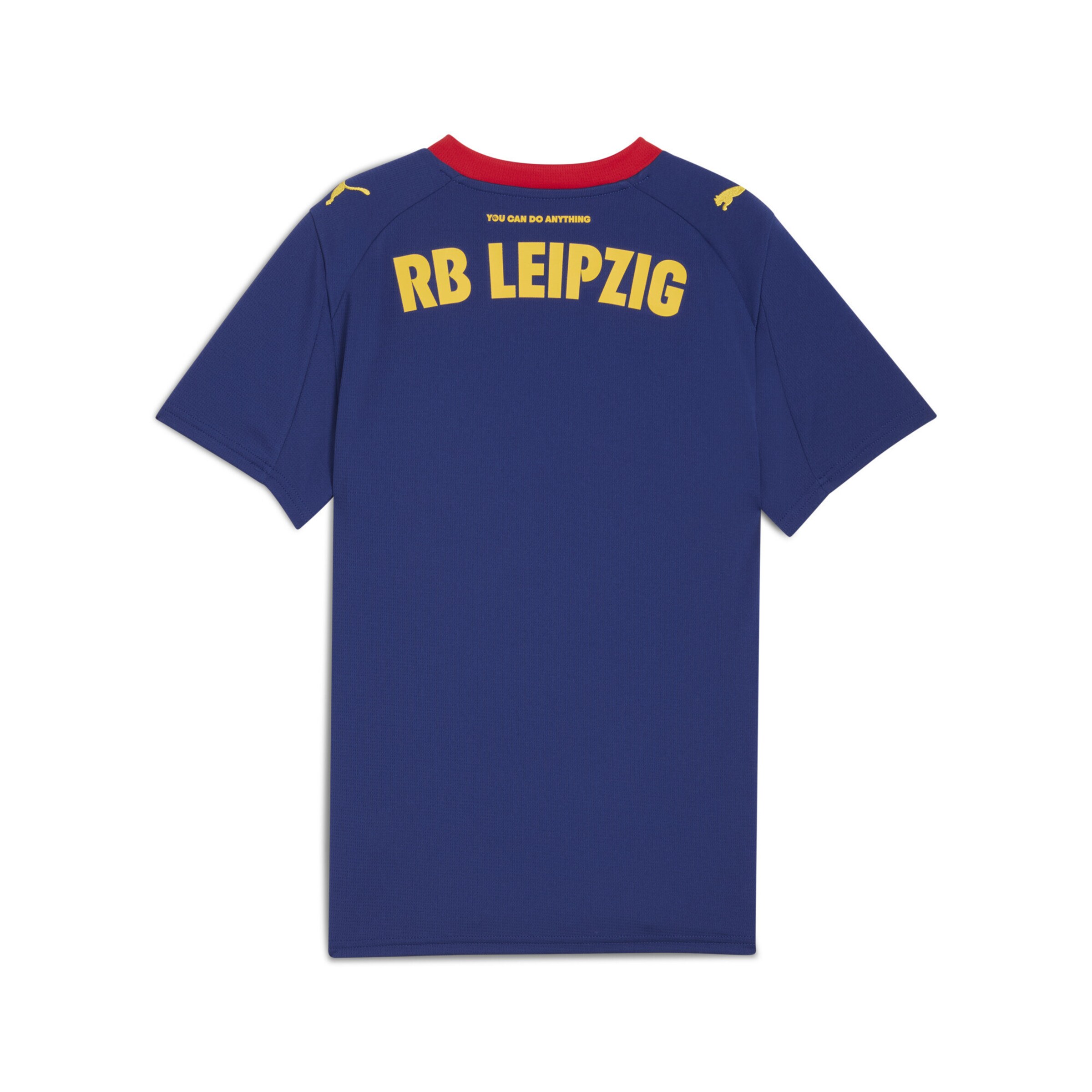PUMA Performance shirt 'RB Leipzig 25/26' in Blue