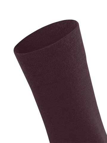 FALKE Socken 'Sensitive Berlin'‌‌‌‌ in Rot