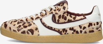 Baskets basses Haboob en mélange de couleurs : devant