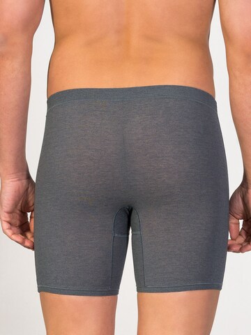 Boxer 'Cyclist Boxer' di zd ZERO DEFECTS in grigio