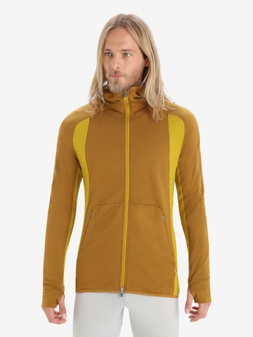 ICEBREAKER Athletic Sweatshirt 'Quantum ZoneKnit' in Brown: front