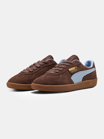 PUMA Sneakers 'Palermo' in Brown