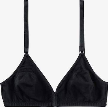 SPEIDEL Triangle Bra in Black