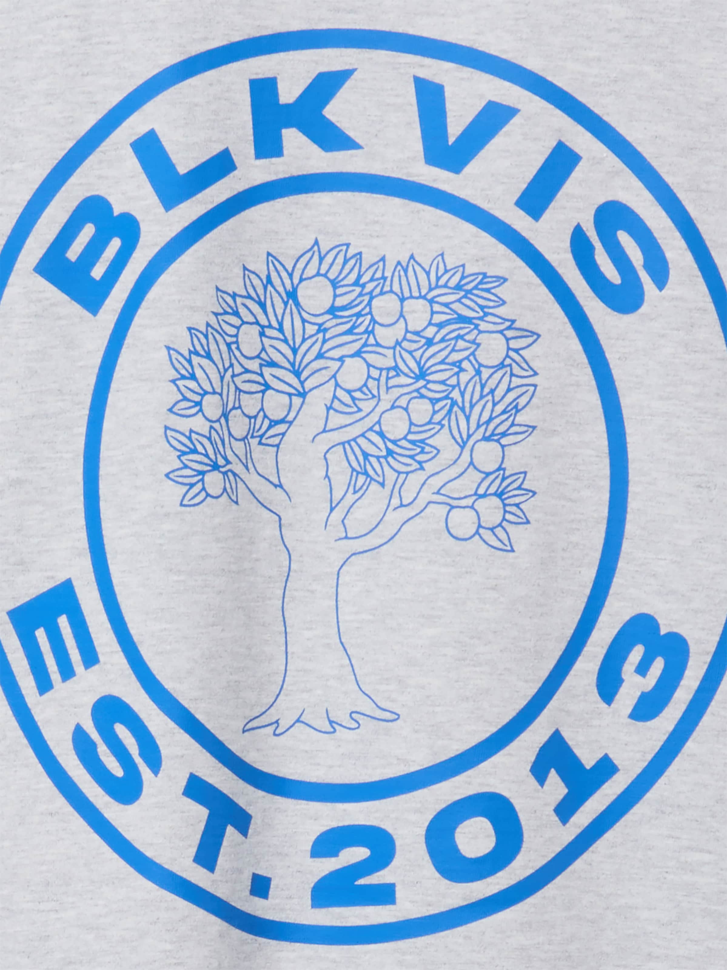 T-Shirt 'Source' BLKVIS en gris