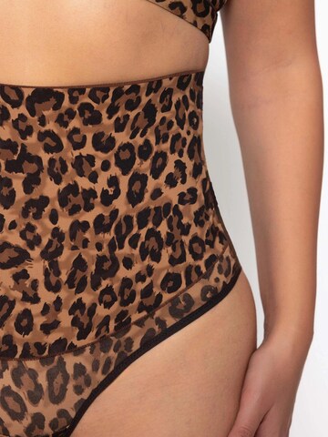 SASSYCLASSY Shaping Slip in Brown