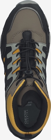 GEOX Boots in Mixed colors