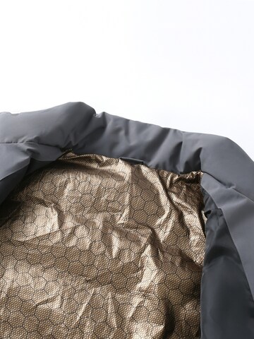 ALLTHEMEN Vest 'Wärmetrage' in Grey