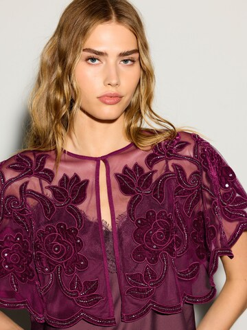Next Cape in Rood