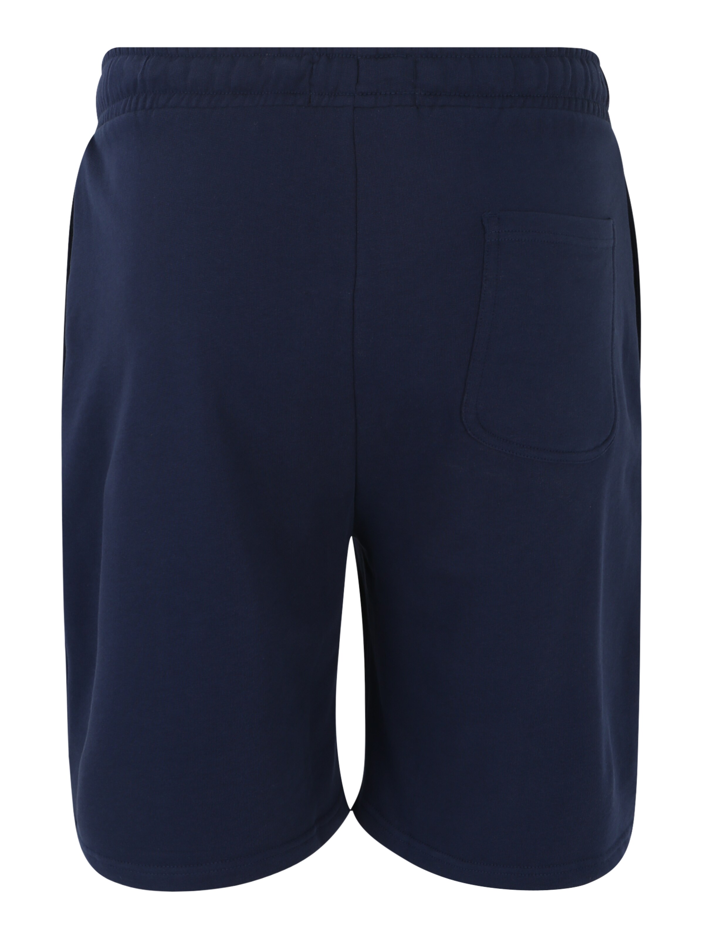 Regular Pantaloni de la Lyle & Scott Big&Tall pe albastru