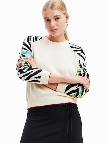 Desigual Pullover in Beige: predná strana