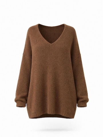Worldclassca Oversizepullover‌‌‌‌‌‌‌‌ in Braun: Vorderseite