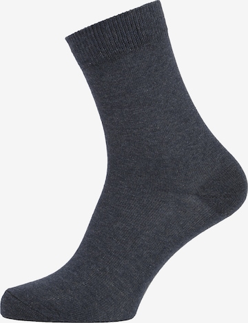 Albert Schäfer Socks in Grey: front