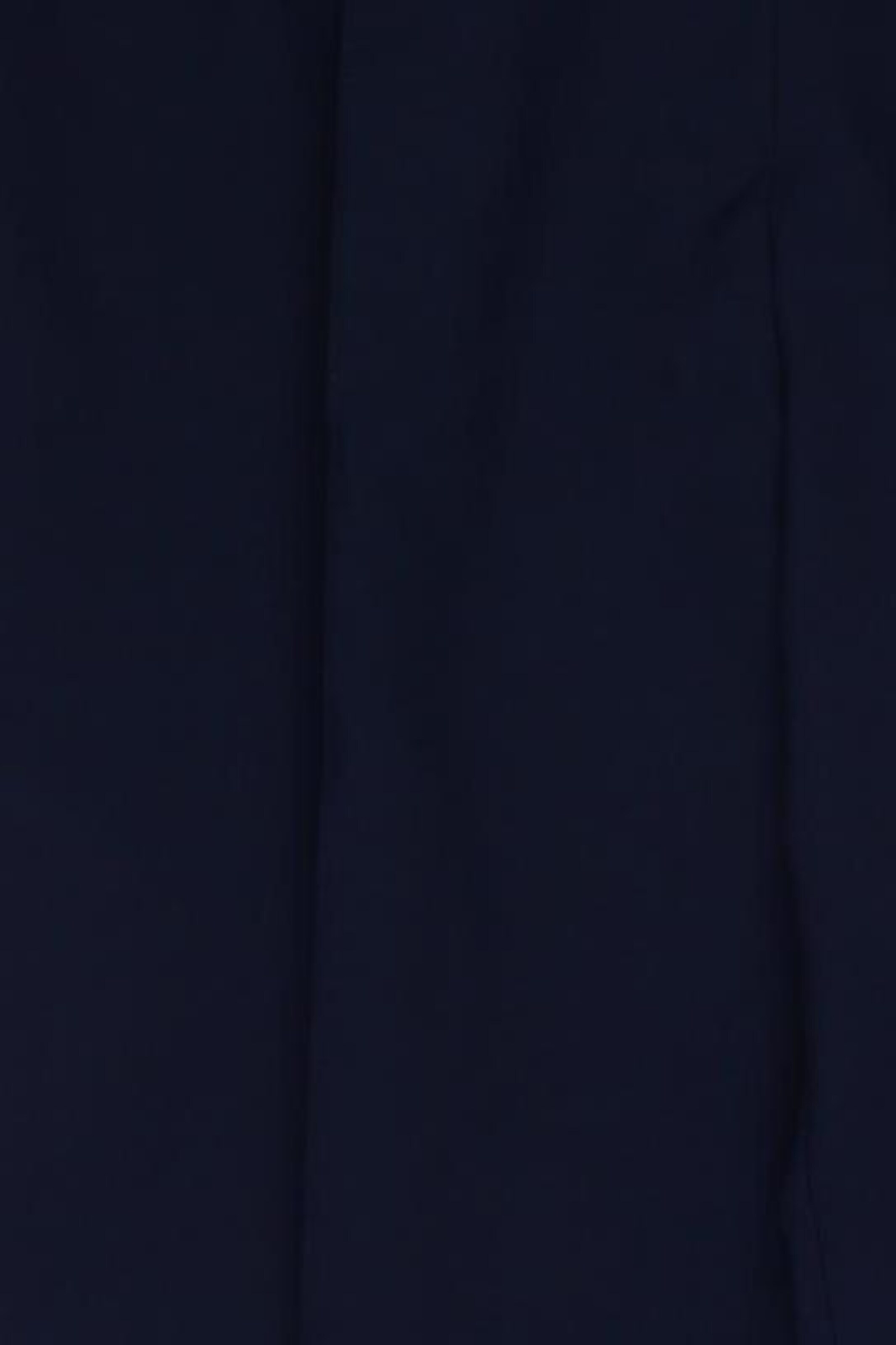 Atelier Goldner Schnitt Pants in 6XL in Blue