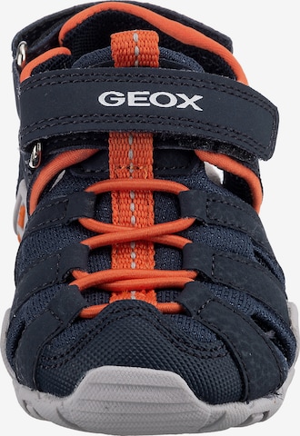 GEOX Sandals & Slippers 'Kraze' in Blue