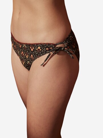 Penti Bikini nadrágok - vegyes színek