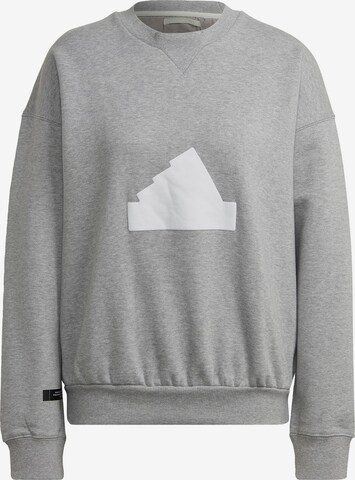 ADIDAS PERFORMANCE Sweatshirt in Grau: predná strana