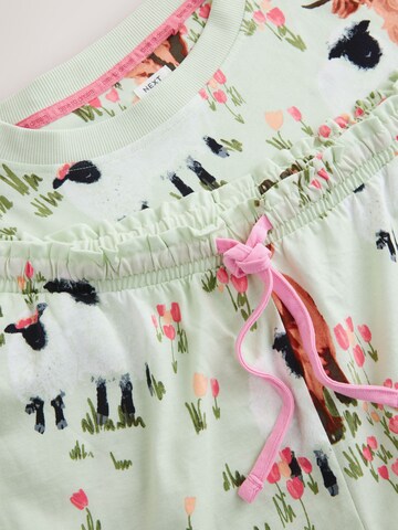 Next Shorty in Grün