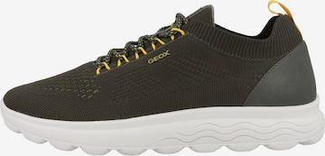 Baskets basses 'Spherica' GEOX en vert