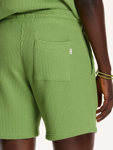 regular Pantaloni di Shiwi in verde