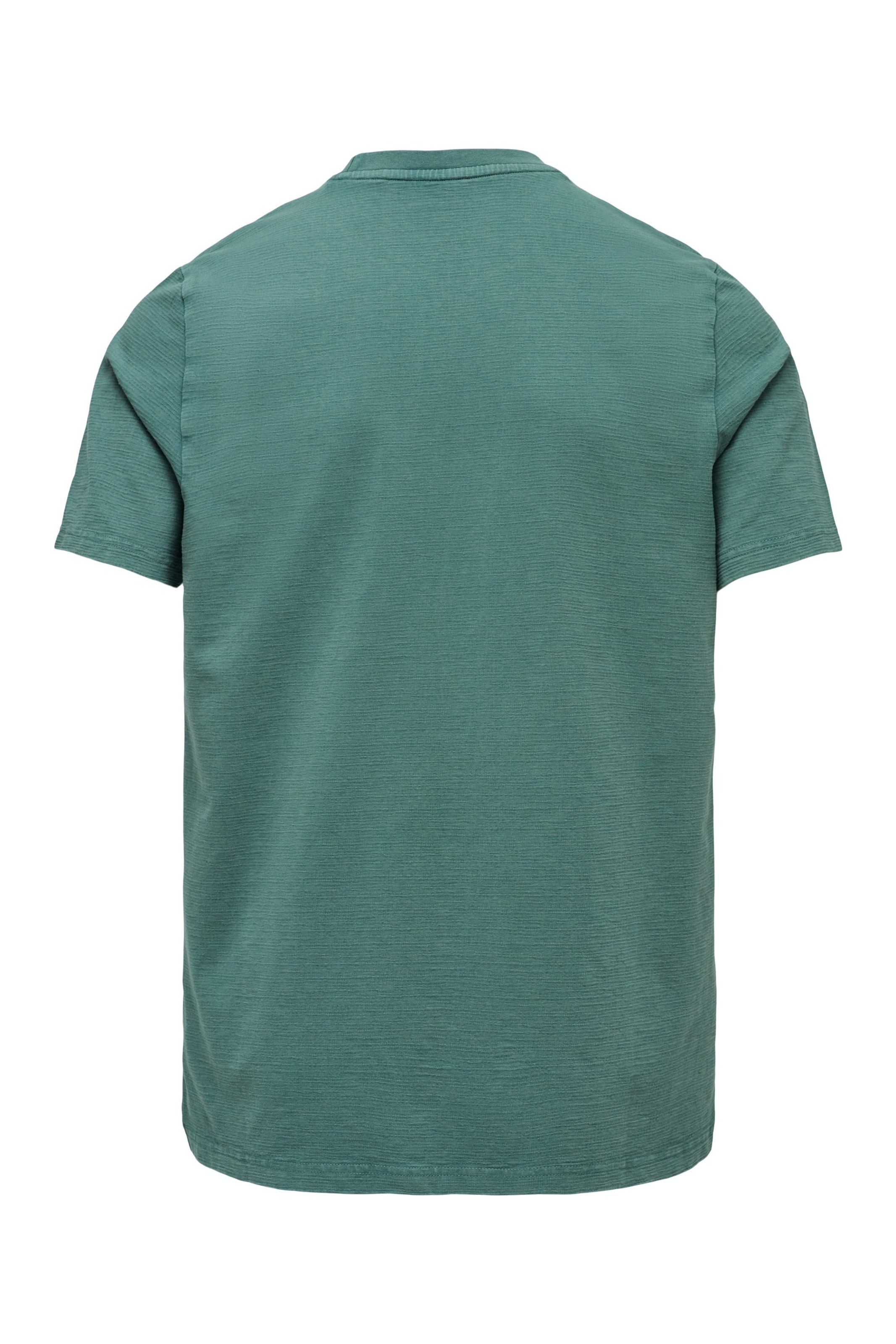 Salsa Jeans T-shirts in Grün