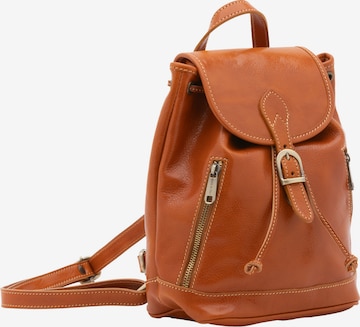 Viola Castellani Backpack in Brown: front