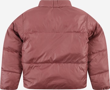 KIDS ONLY Winter Jacket 'New Ricky' in Brown