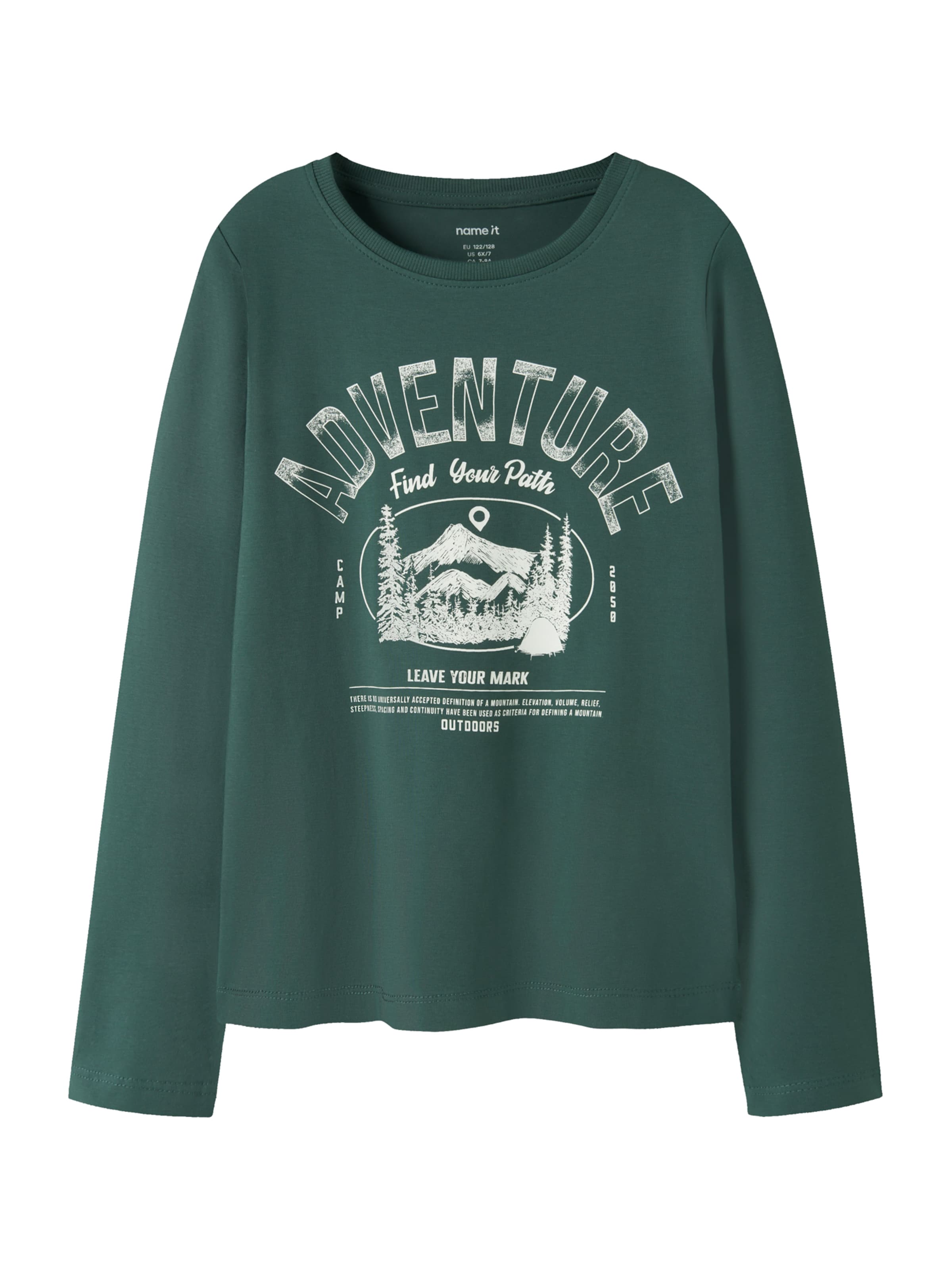 NAME IT Koszulka 'NKMVUX' w kolorze zielony: przód