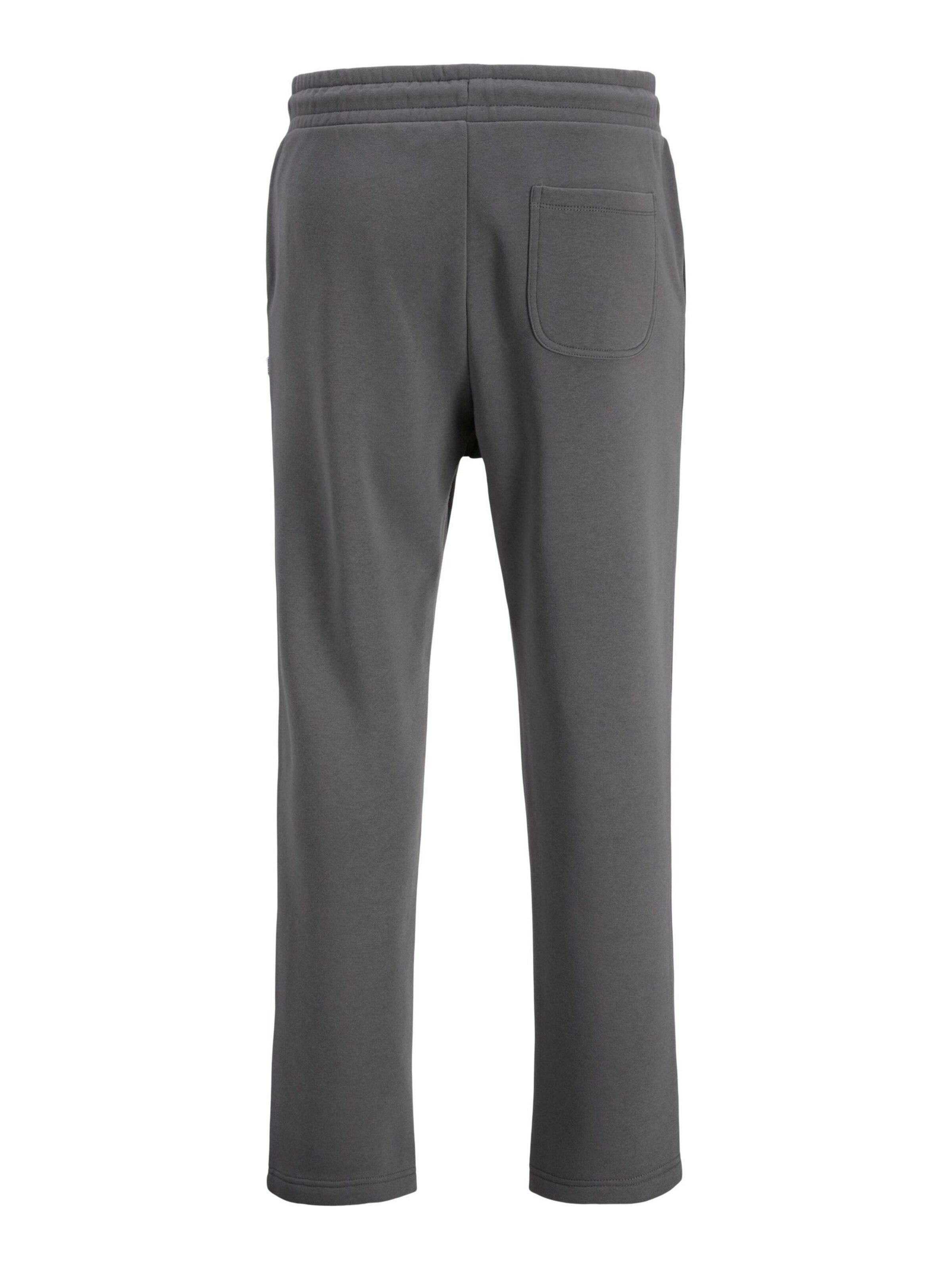 JACK & JONES Regular Pants in Grey