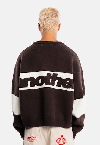 Another Cotton Lab Pullover in Braun