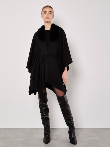 Cape Apricot en noir