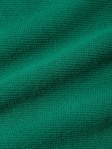 Pull-over 'Fruity Jumper' Seasalt Cornwall en vert