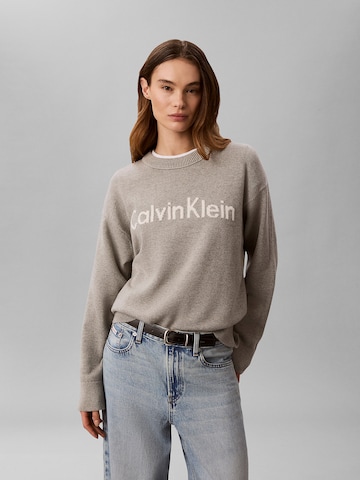 Pull-over Calvin Klein Jeans en gris : devant