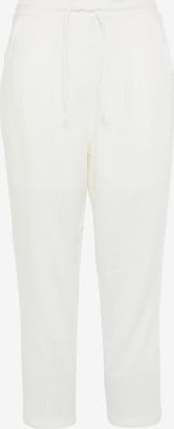 Usha Pleat-Front Pants in White: front