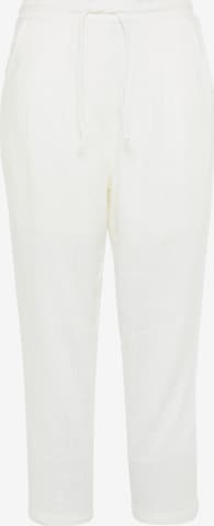 Usha Regular Pleat-Front Pants in White: front