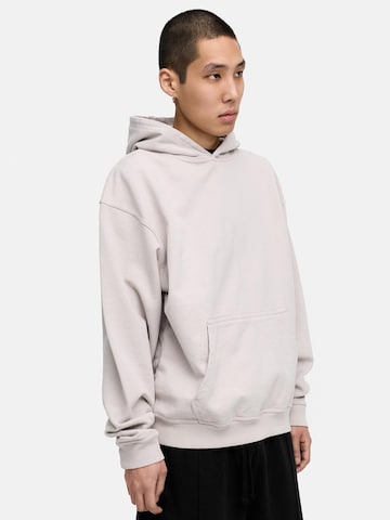 Daily Cotton Sweatshirt 'DCAUSTIN' in Grau