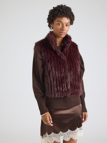 RINO & PELLE Bodywarmer 'Dava' in Bruin: voorkant