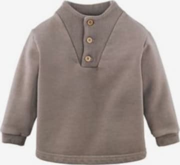 hessnatur Sweatshirt in Grey: front