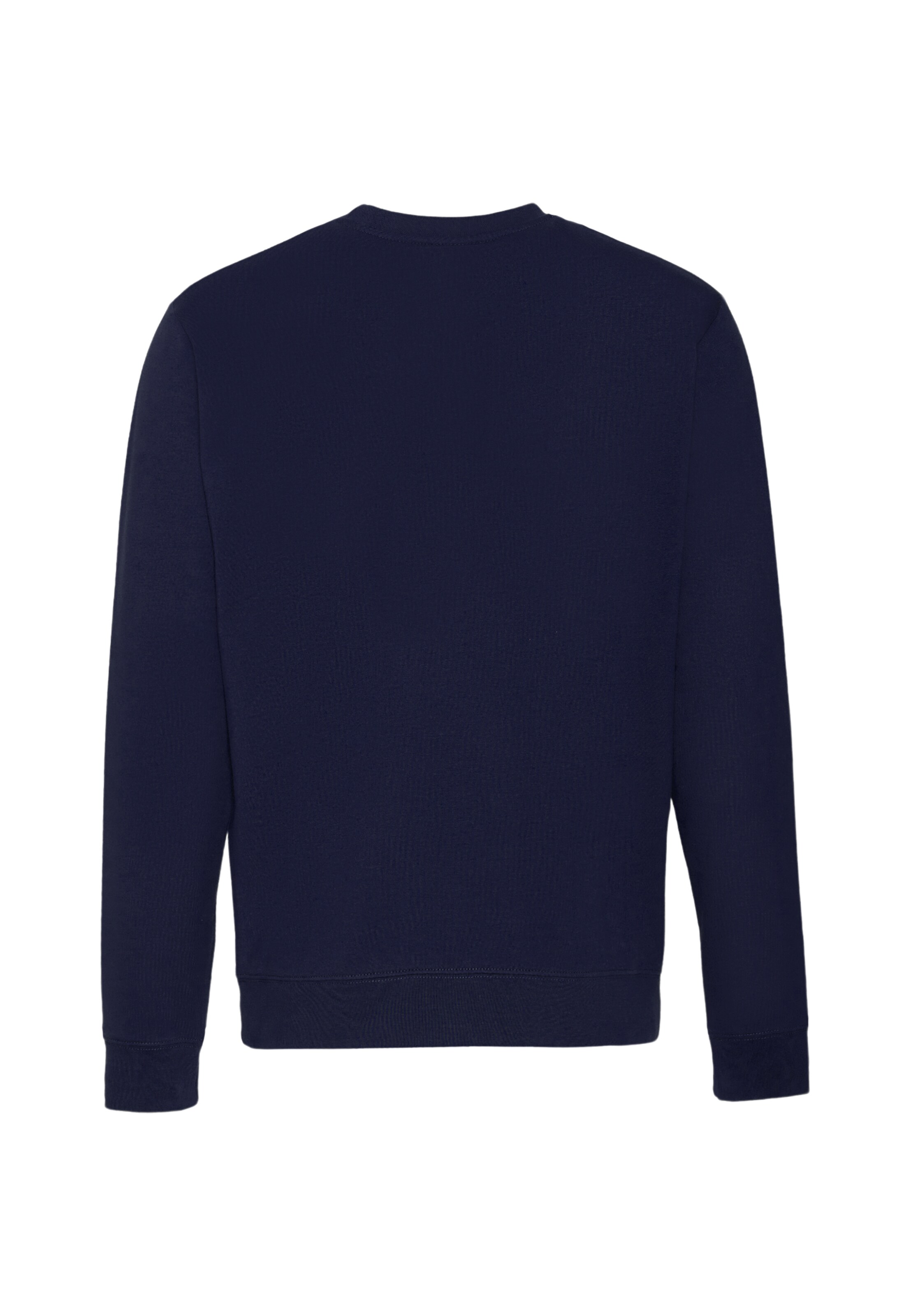 Oldskull Sweatshirt 'Basic Osk' in Blue