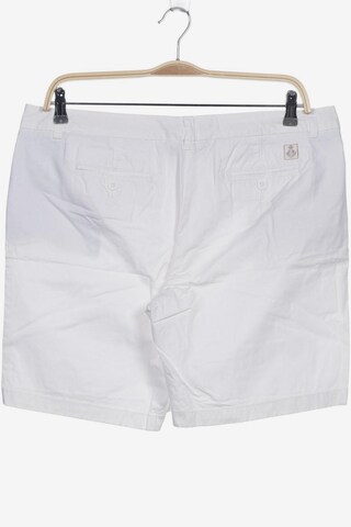 TOMMY HILFIGER Shorts in 4XL in White