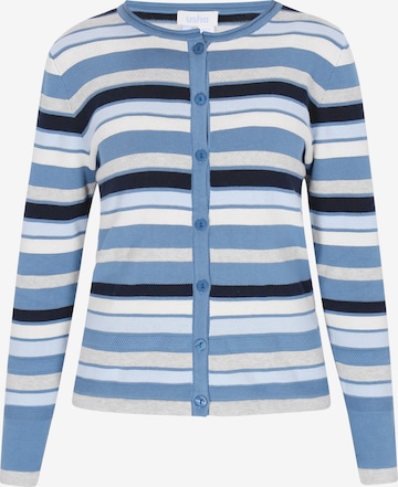 usha BLUE LABEL - Casaco de malha em azul: frente