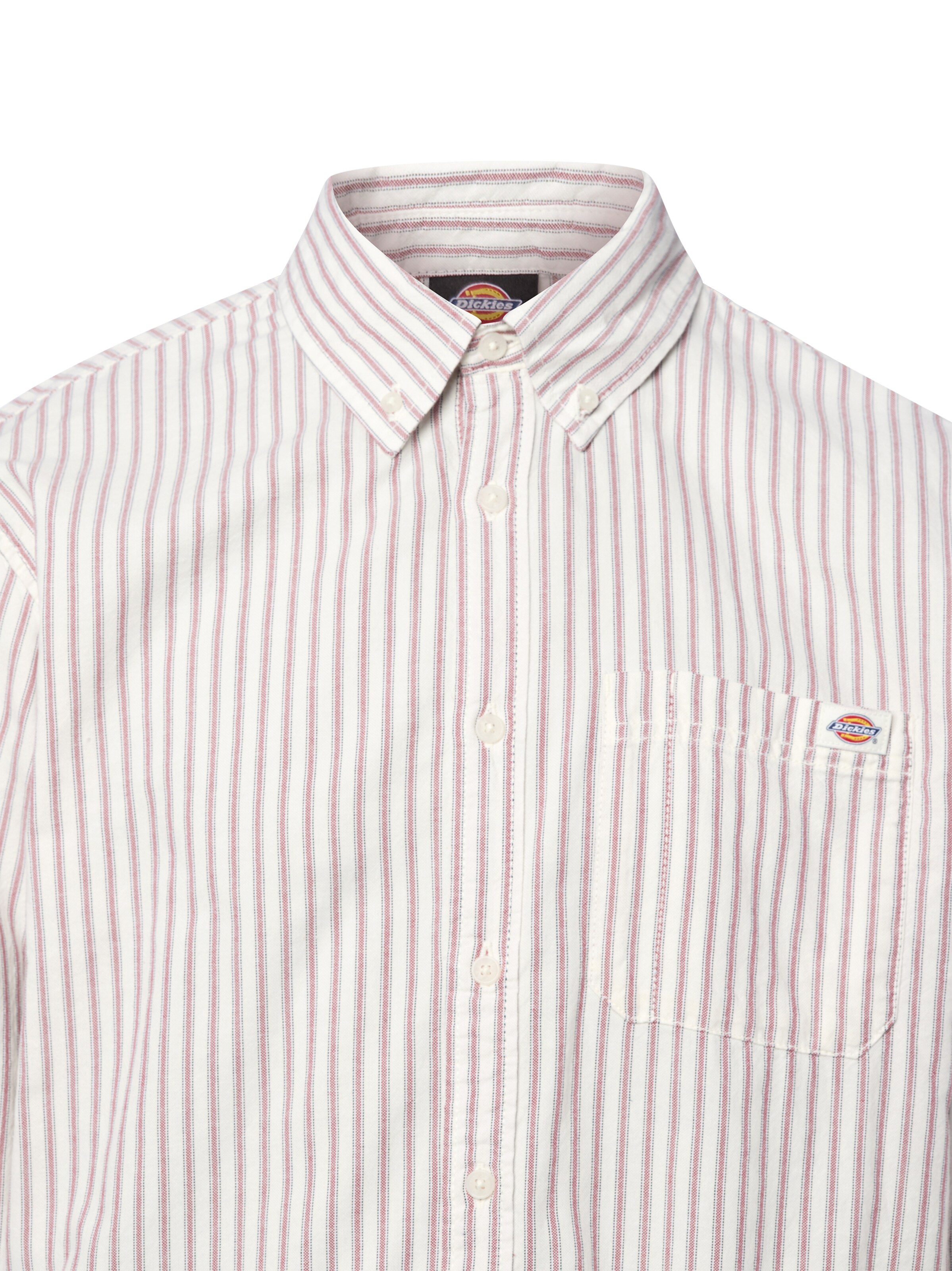 DICKIES Regular Fit Hemd in Pink