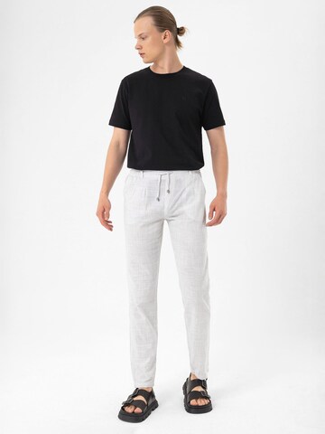 By Diess Collection Regular Trousers in Grey