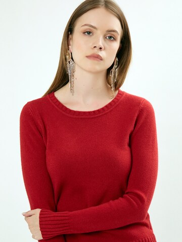 Influencer Pullover in Rot