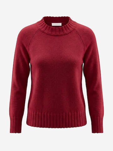 Il Lanificio Pullover‌‌‌‌‌ in Rot: Vorderseite