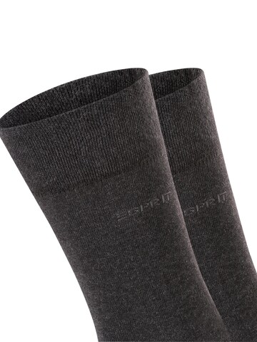 ESPRIT Socks 'Basic Easy 2-Pack' in Grey