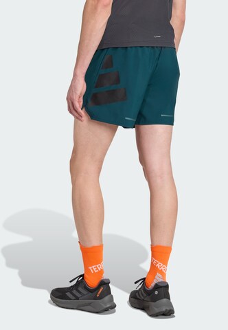ADIDAS TERREX - regular Pantalón de montaña 'Xperior' en verde