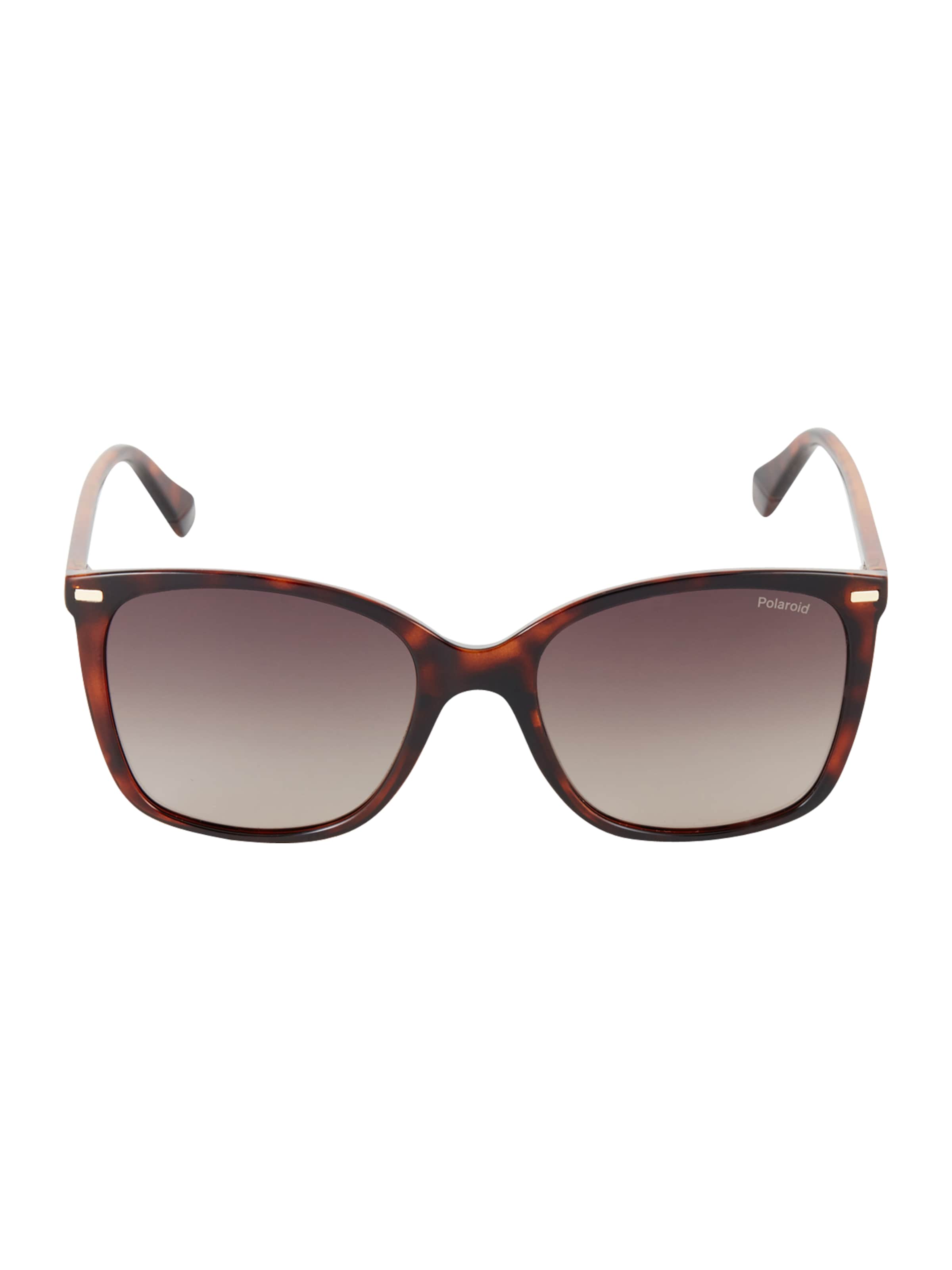 Polaroid Sunglasses 'PLD 4108/S' in Brown