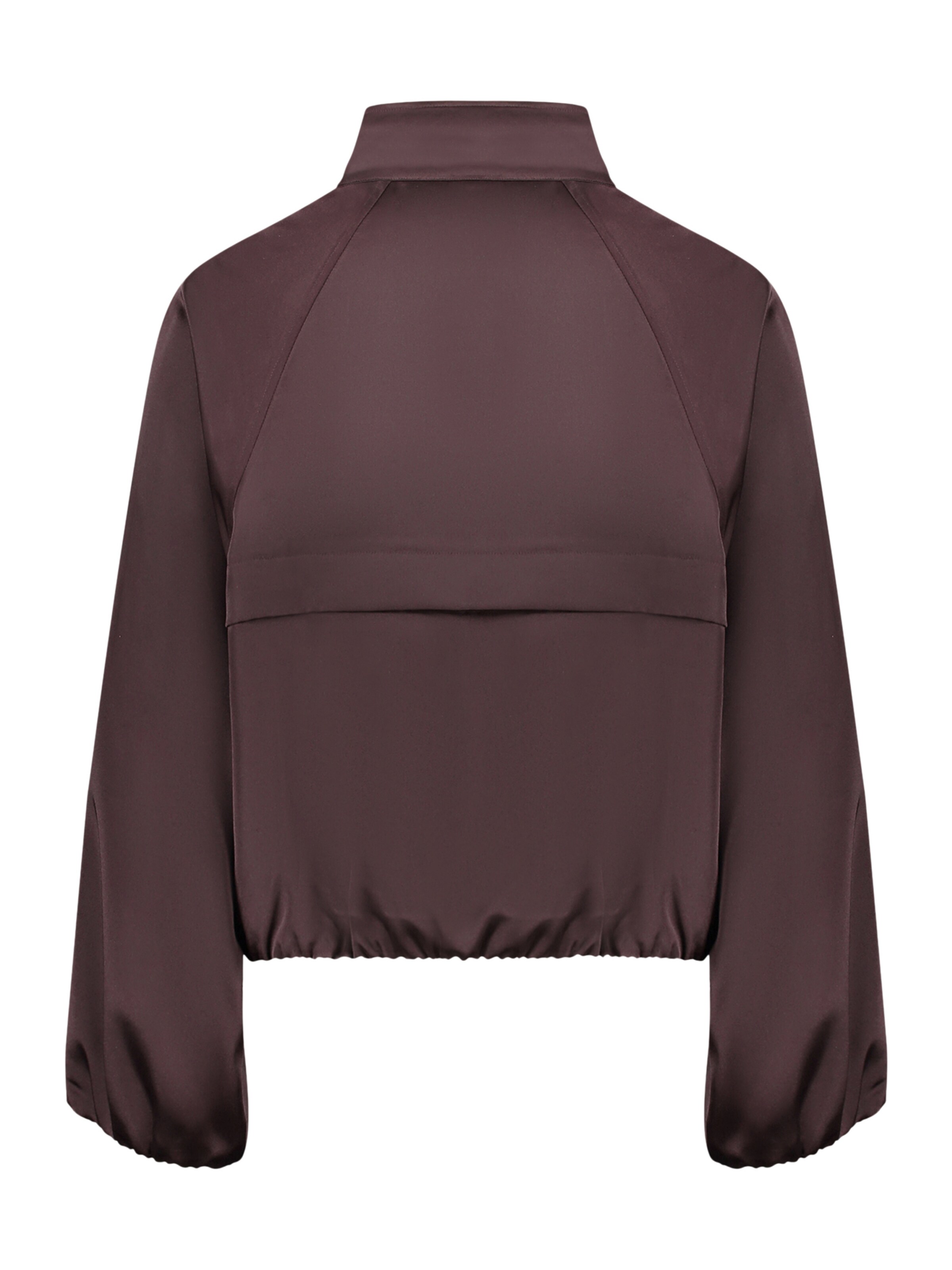 Cartoon Tussenjas in Bruin