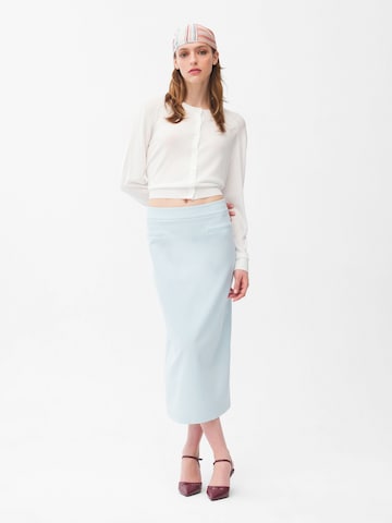 adl Skirt in Blue