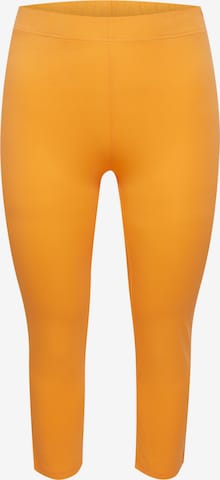 Fransa Curve Leggings 'Kokos' in Orange: predná strana